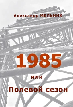 Александр Мельник 1985, или Полевой сезон обложка книги