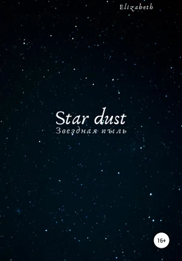 Elizabeth Star dust обложка книги