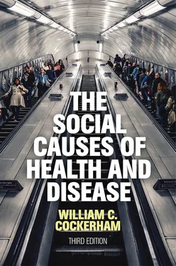 William C. Cockerham The Social Causes of Health and Disease обложка книги