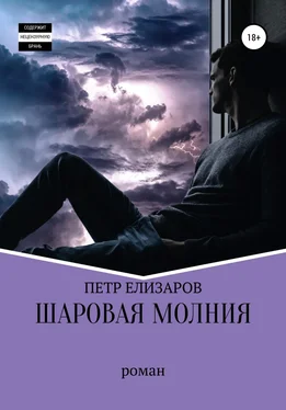 Петр Елизаров Шаровая молния обложка книги