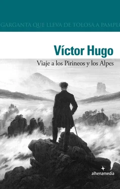 Victor Hugo Viaje a los Pirineos y los Alpes обложка книги