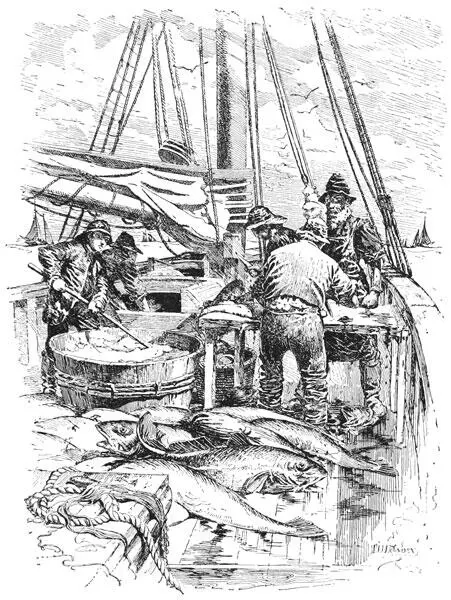 dressingdown on the were here There was a general sorting out among the - фото 19