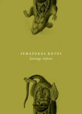 Santiago Infante Semáforos rotos обложка книги