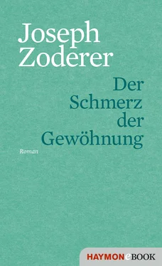 Joseph Zoderer Der Schmerz der Gewöhnung обложка книги