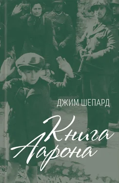 Джим Шепард Книга Аарона