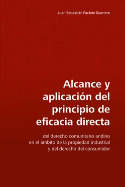 Juan Sebastián Pachón Guerrero Alcance y aplicación del principio de eficacia directa обложка книги