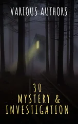 Edgar Allan Poe - 30 Mystery &amp; Investigation masterpieces