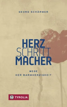 Georg Schärmer Herzschrittmacher обложка книги