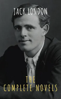 Array The griffin classics Jack London: The Complete Novels обложка книги