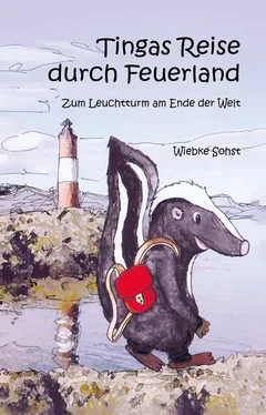 Wiebke Sohst Tingas Reise durch Feuerland обложка книги