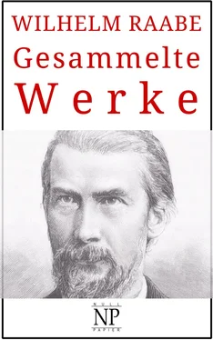 Wilhelm Raabe Wilhelm Raabe – Gesammelte Werke обложка книги