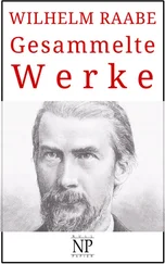 Wilhelm Raabe - Wilhelm Raabe – Gesammelte Werke