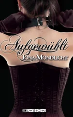 Jona Mondlicht - Aufgewühlt