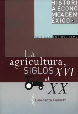 Esperanza Fujigaki La agricultura, siglos XVI al XX обложка книги