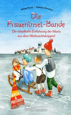 Wilma Frech Fraueninsel Bande обложка книги