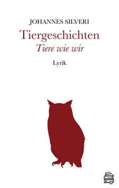 Johannes Silveri Tiergeschichten обложка книги