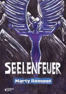 Marty Ramone Seelenfeuer обложка книги