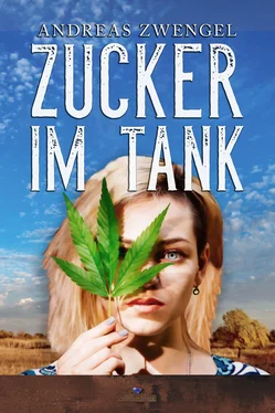 Andreas Zwengel Zucker im Tank обложка книги