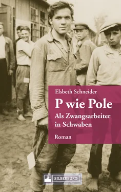 Elsbeth Schneider-Schöner P wie Pole. Ein Roman aus Schwaben обложка книги