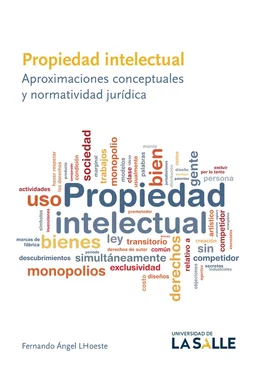 Fernando Ángel Lhoeste Propiedad intelectual обложка книги