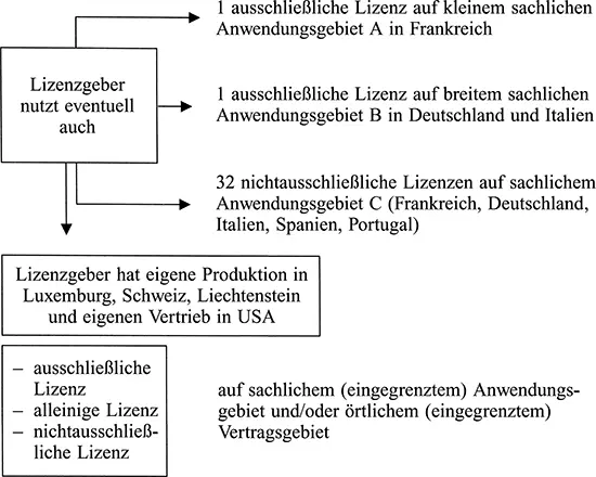 2 Unterlizenz 376 Unterlizenz Folge Lizenzgeber hat zusätzlichen - фото 9
