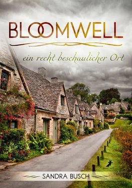Sandra Busch Bloomwell - ein recht beschaulicher Ort обложка книги