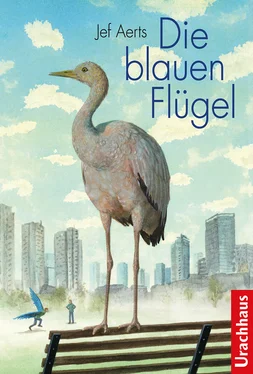 Jef Aerts Die blauen Flügel обложка книги