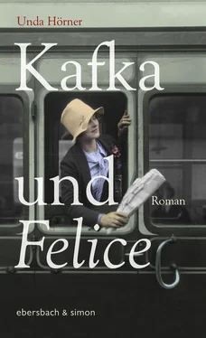 Unda Hörner Kafka und Felice обложка книги