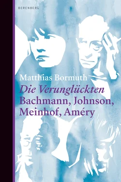 Matthias Bormuth Die Verunglückten обложка книги
