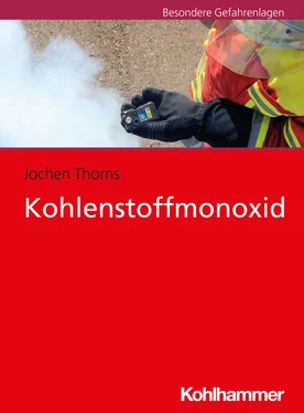 Jochen Thorns Kohlenstoffmonoxid обложка книги