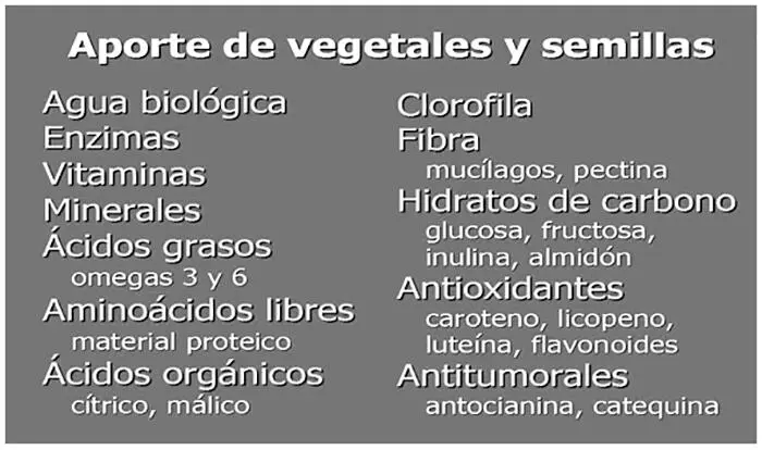 Otros dos grupos de alimentos que muchos califican como importantes son - фото 7