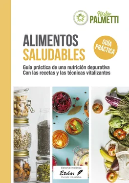 Néstor Palmetti Alimentos saludables обложка книги