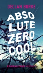 Declan Burke - Absolute Zero Cool