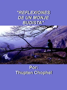 Thupten Chophel Reflexiones de un monje budista обложка книги