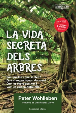 Peter Wohlleben La vida secreta dels arbres обложка книги