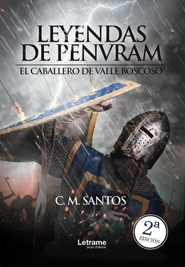 C. M. Santos Leyendas de Penvram обложка книги