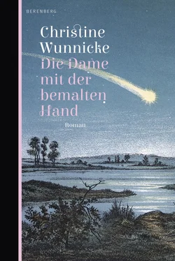 Christine Wunnicke Die Dame mit der bemalten Hand обложка книги