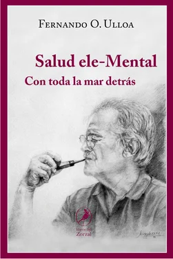 Fernando Ulloa Salud ele-Mental обложка книги