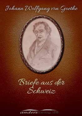 Johann Wolfgang von Goethe Briefe aus der Schweiz обложка книги