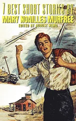 Mary Noailles Murfree - 7 best short stories by Mary Noailles Murfree