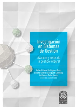 Guillermo Peña Guarín Investigación en sistemas de gestión обложка книги