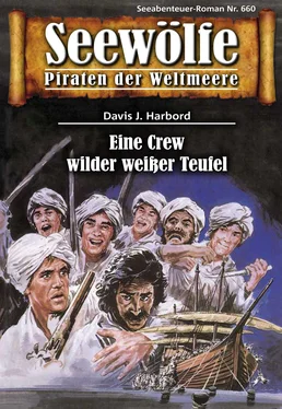 Davis J.Harbord Seewölfe - Piraten der Weltmeere 660 обложка книги