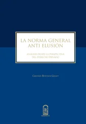 Cristián Boetsch Gillet - La norma general anti elusión