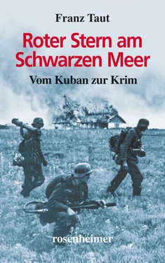 Franz Taut Roter Stern am Schwarzen Meer обложка книги
