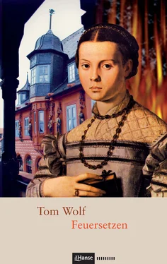 Tom Wolf Feuersetzen обложка книги