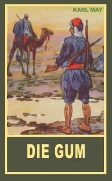 Karl May Die Gum обложка книги