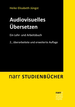 Heike E. Jüngst Audiovisuelles Übersetzen обложка книги
