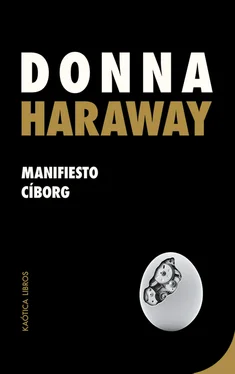 Donna Haraway Manifiesto cíborg обложка книги