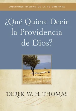 Derek W. H. Thomas ¿Qué quiere decir la providencia de Dios? обложка книги