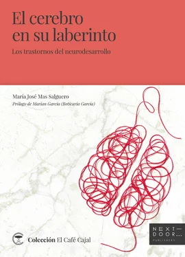 María José Mas Salguero El cerebro en su laberinto обложка книги